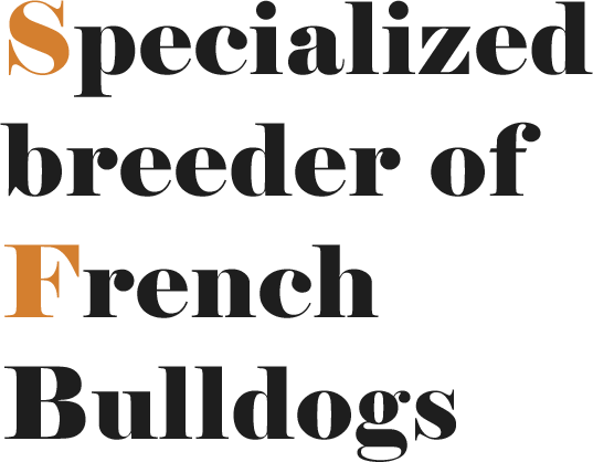 Specialized breeder of French Bulldogs